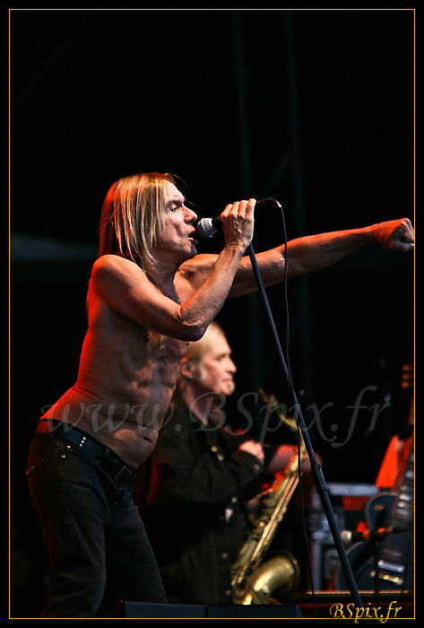 Iggy Pop