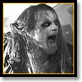 Taake